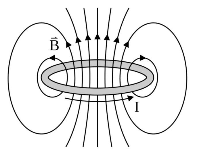 Campo magnético de uma espira circular