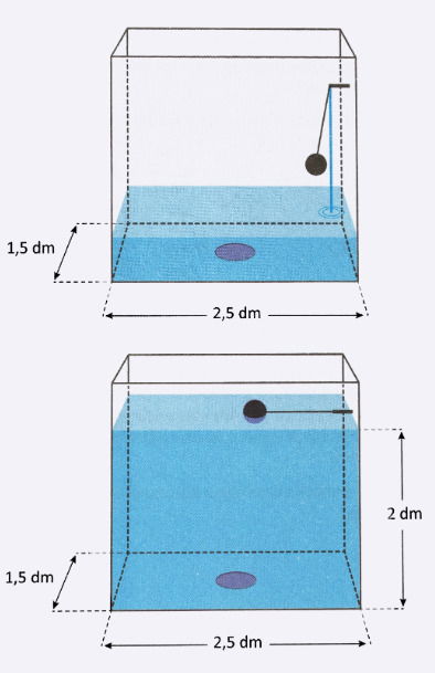 Grafico para questão 170