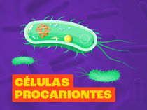 Células Procariontes