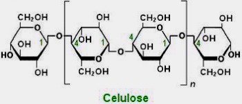 Estrutura da celulose