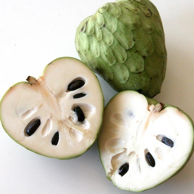 cherimoia