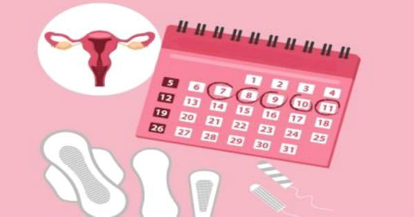 AS FASES DO CICLO MENSTRUAL: O Que Acontece Em Cada Um Deles? - Saúde E ...