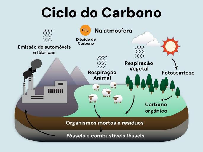 Ciclo do Carbono - geral