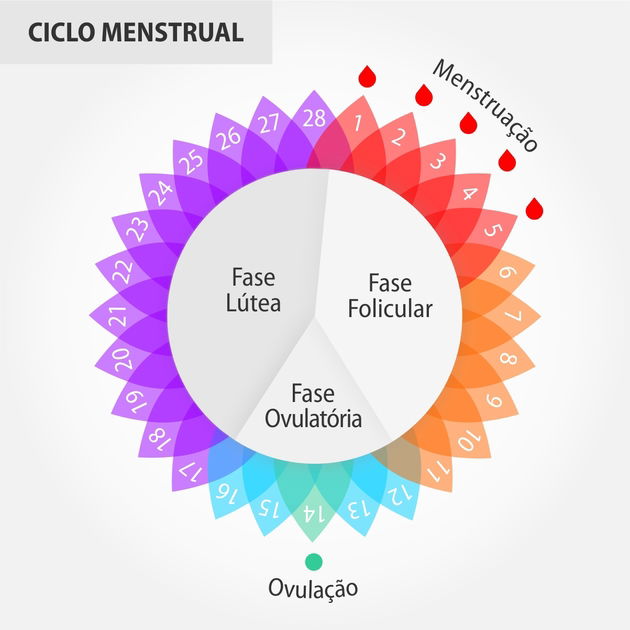 Ciclo menstrual