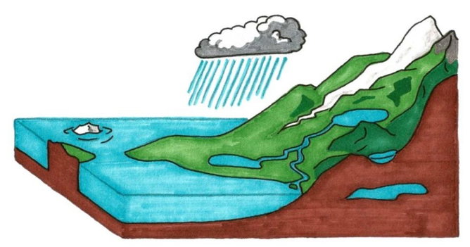 Ciclos Biogeoquímicos: quais são, como funcionam e exercícios