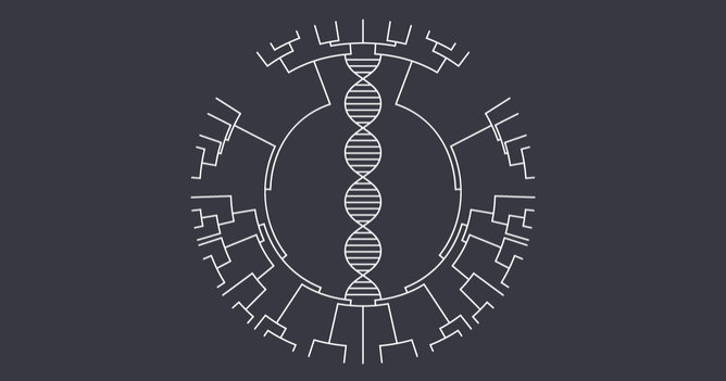 Classificação dos Seres Vivos