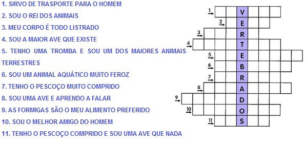 Animais vertebrados e invertebrados - Kids - Toda Matéria