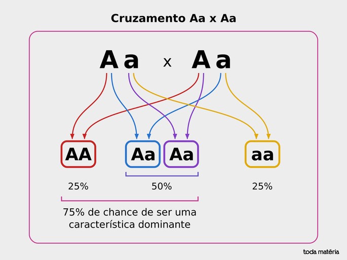 Exemplo de cruzamento