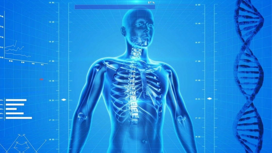 corpo-humano-dificil - Português