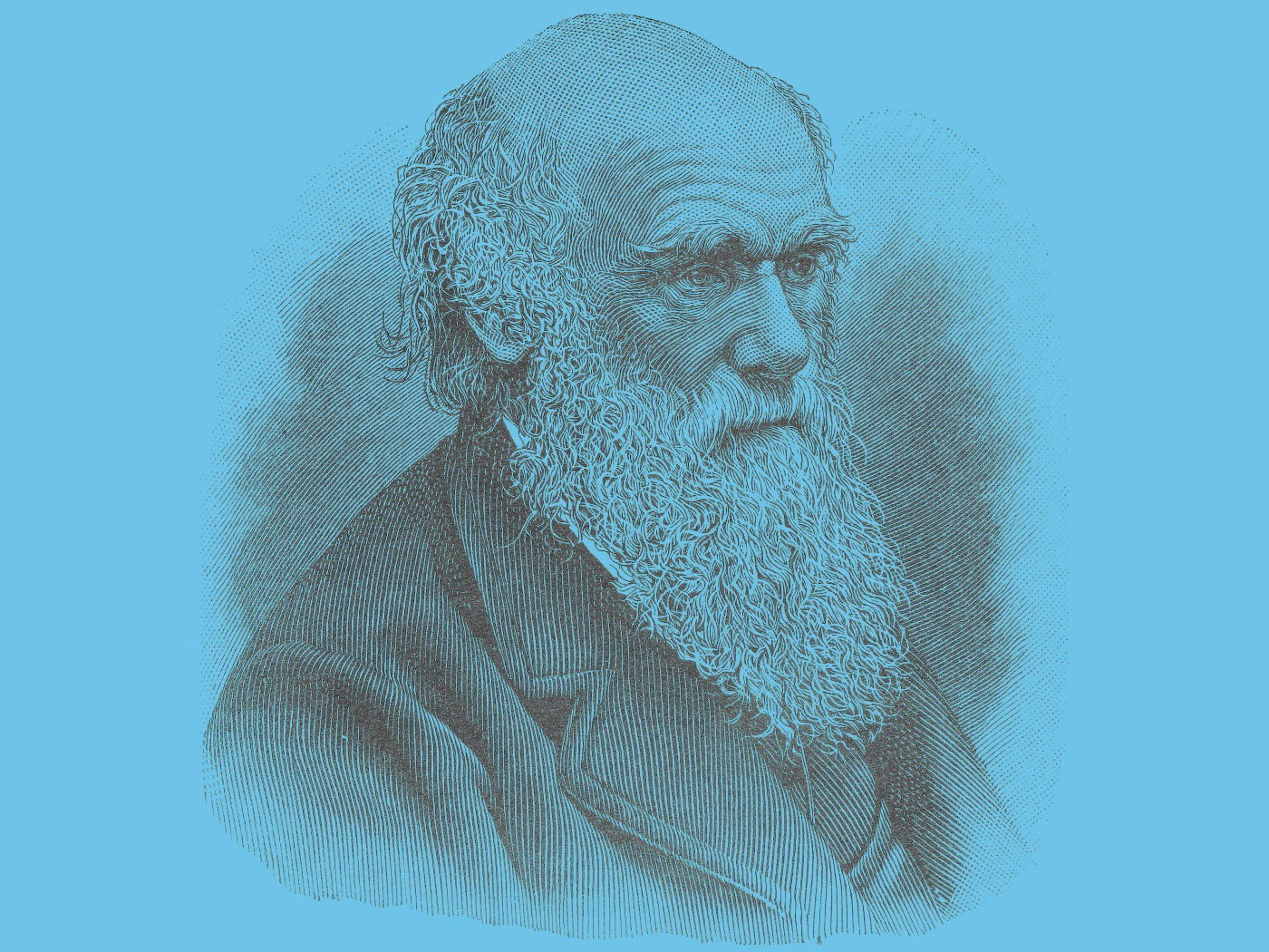 O que é o Darwinismo entenda sobre a teoria de Charles Darwin Toda Matéria