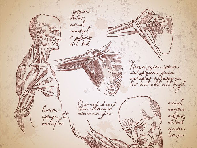 Tanques, helicópteros. O que Da Vinci inventou – Observador