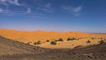 Paisagem típica do deserto