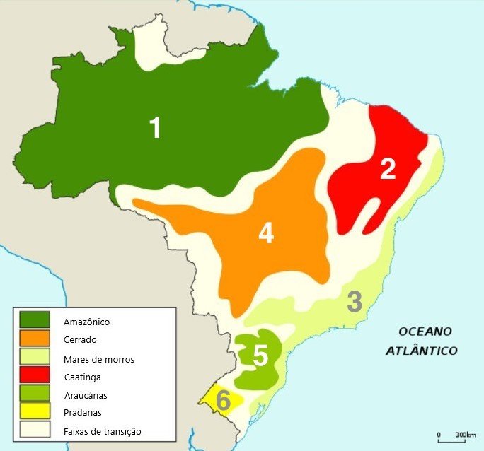 domínios morfoclimáticos do brasil
