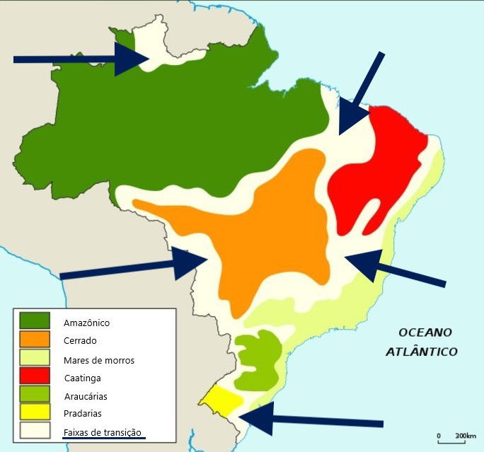 domínio morfoclimático faixas de transição