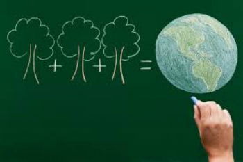 Educação ambiental nas escolas