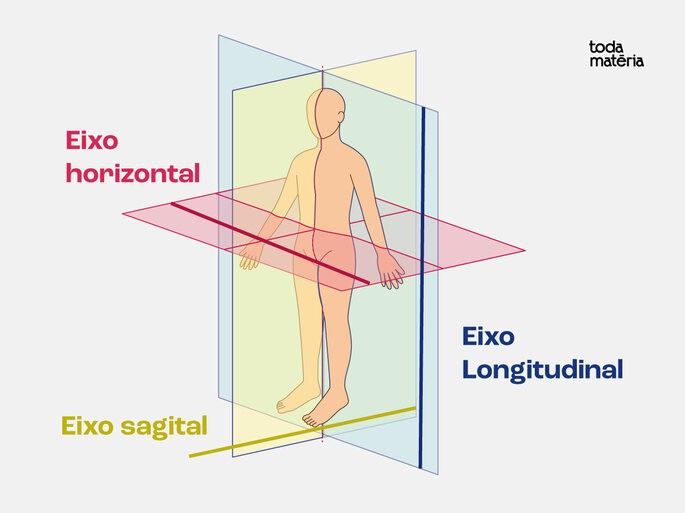 O que é Anatomia Humana?