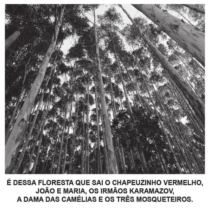 Propaganda sobre celulose, Enem 2017