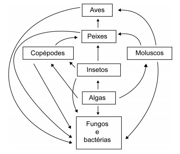 Exercícios Sobre Cadeia E Teia Alimentar - Toda Matéria