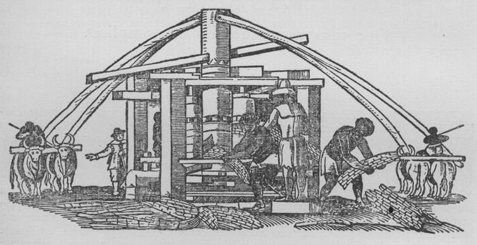 Pessoas escravizadas trabalhando numa moenda movida por tração de bois enquanto uma pessoa livre os vigia