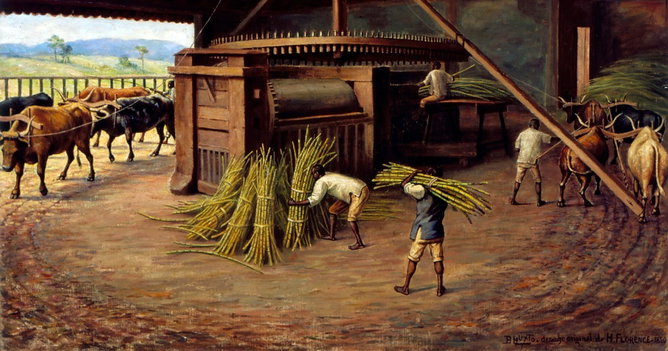 Engenho de Açúcar no Brasil Colonial