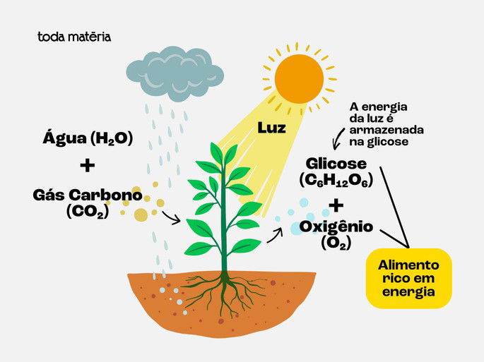 Esquema representativo da fotossíntese