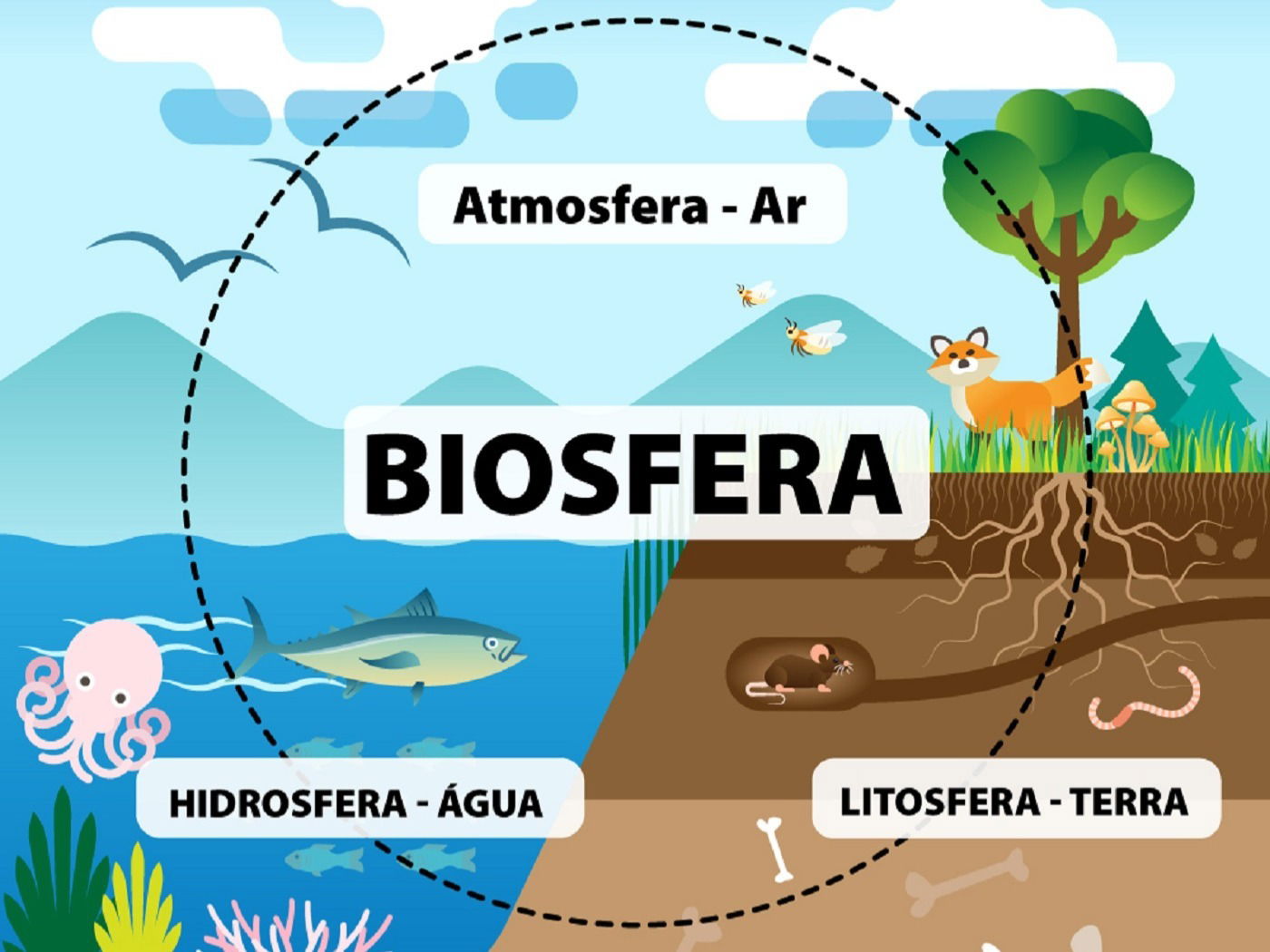 geosfera atmósfera hidrosfera biosfera