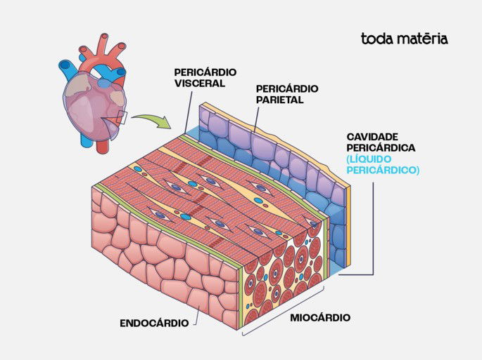 Paredes do coração