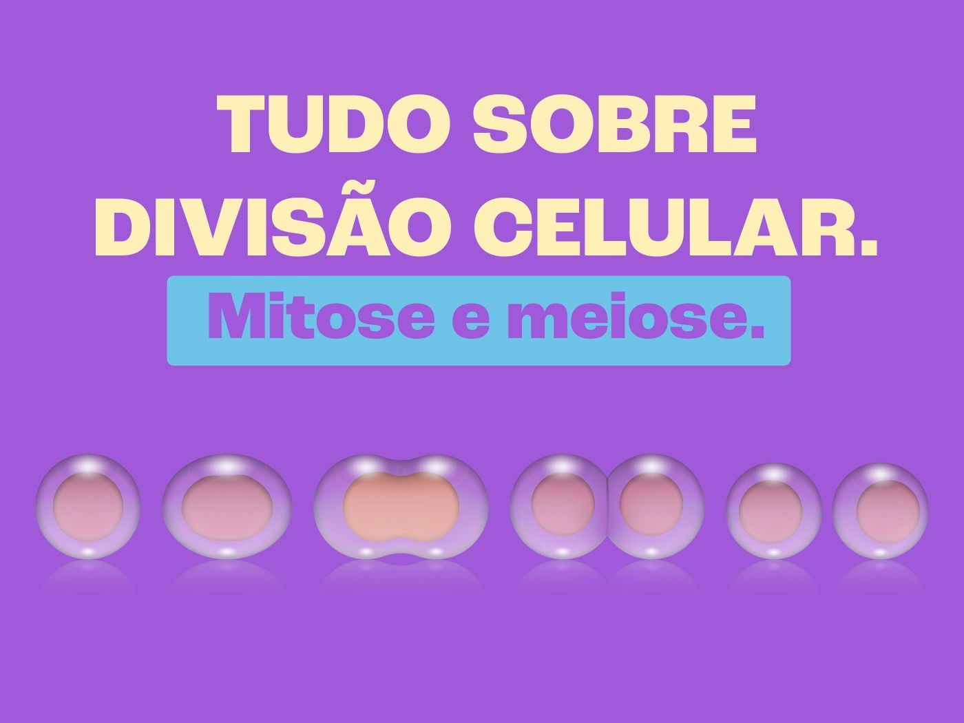 TESTES DE DIVISÃO CELULAR (9)