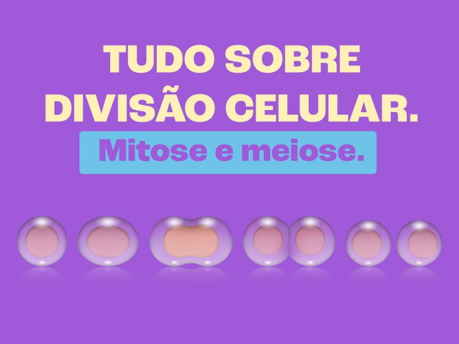 Exercícios sobre mitose e meiose