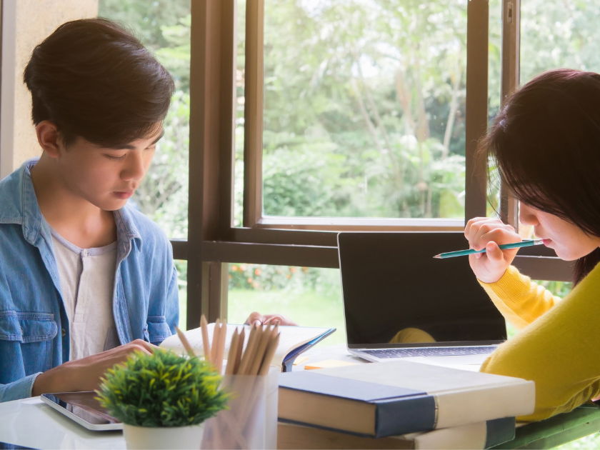 Atividades sobre Pronomes Exemplos tudo Explicado Bela Feliz  Atividades  sobre pronomes, Atividades pronomes, Pronomes de tratamento