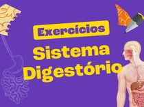 Exercícios sobre sistema digestório (com gabarito)