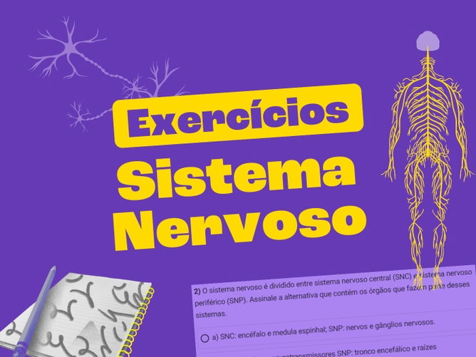 Exercícios sobre o sistema nervoso (com questões explicadas)