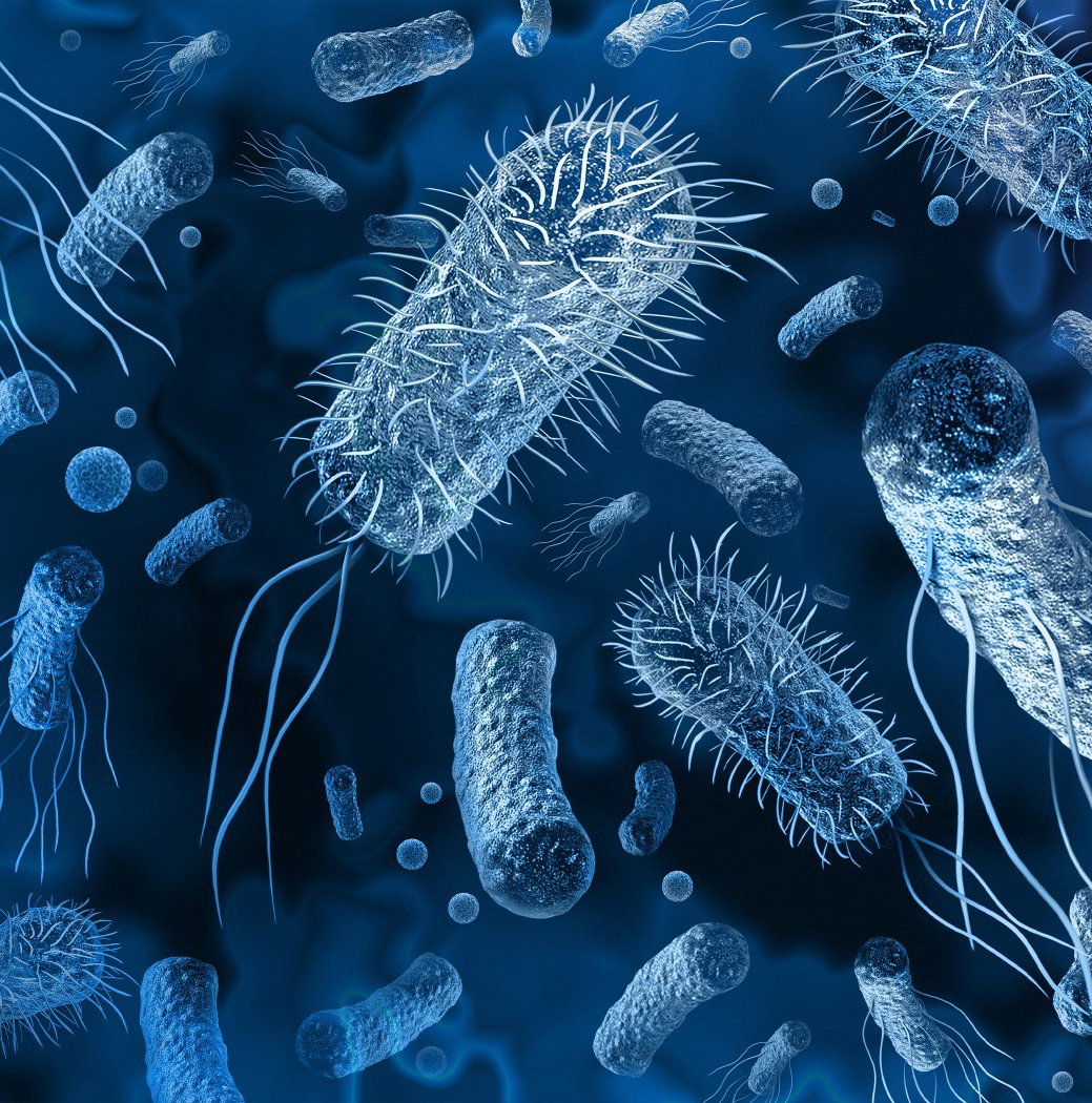 Exercícios sobre bactérias - Toda Matéria