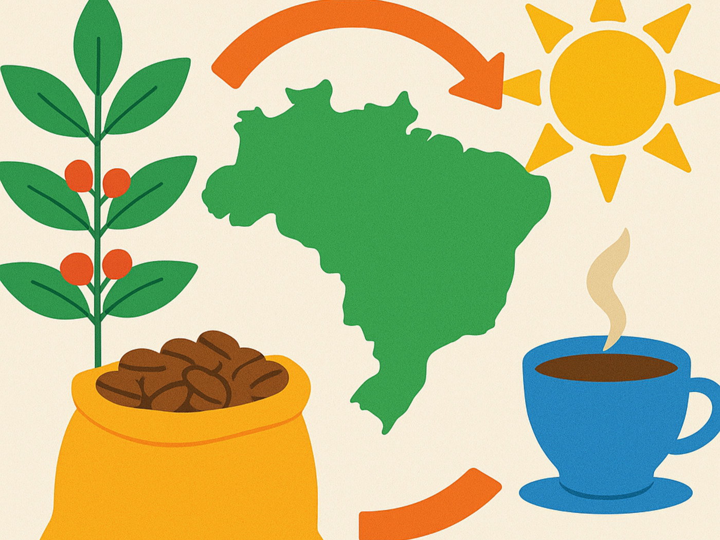 Exercícios sobre o ciclo do café no Brasil (com gabarito) - Toda Matéria