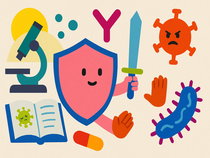 Exercícios sobre o sistema imunológico (com gabarito)