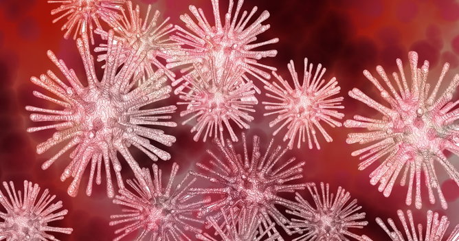 Exercícios sobre vírus