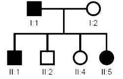 questão 6 - Genética