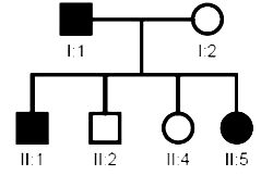 questão 6 - Genética