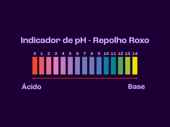 Indicador ácido-base com repolho