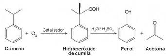 imagem-047.jpg