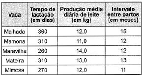 imagem-115.jpg