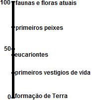 imagem-retificada-questao-005.jpg