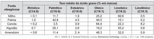 imagem-021.jpg