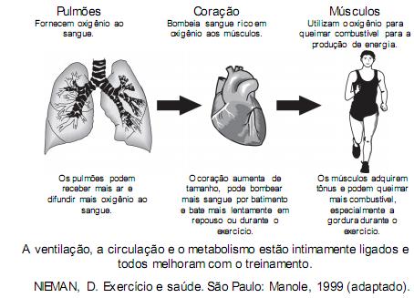 imagem-retificada-questao-168.jpg