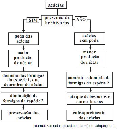 imagem-retificada-texto-008.jpg
