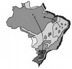 imagem-retificada-texto-009.jpg