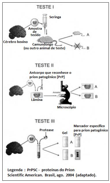imagem-retificada-texto-018.jpg