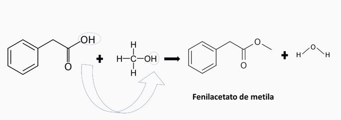 Fenilacetato de metila