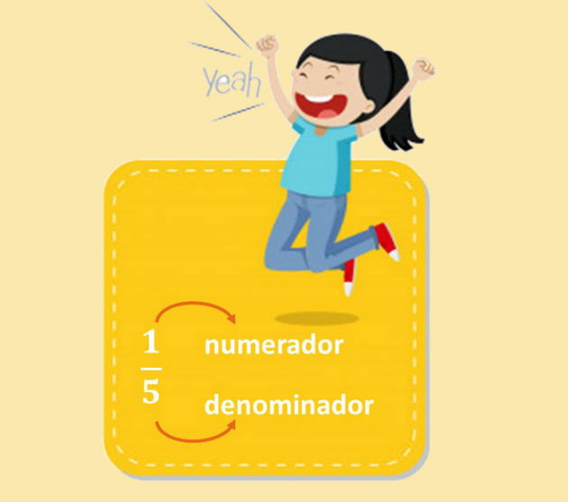 Numerador e denominador das frações