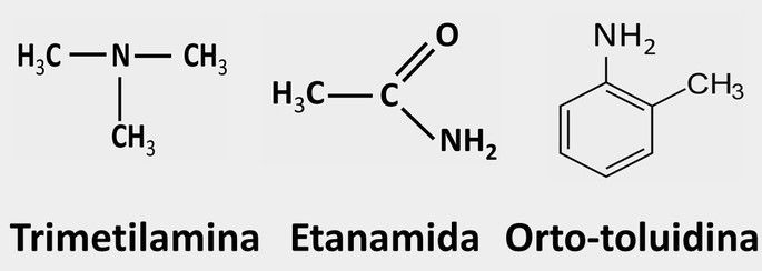 funções nitrogenadas
